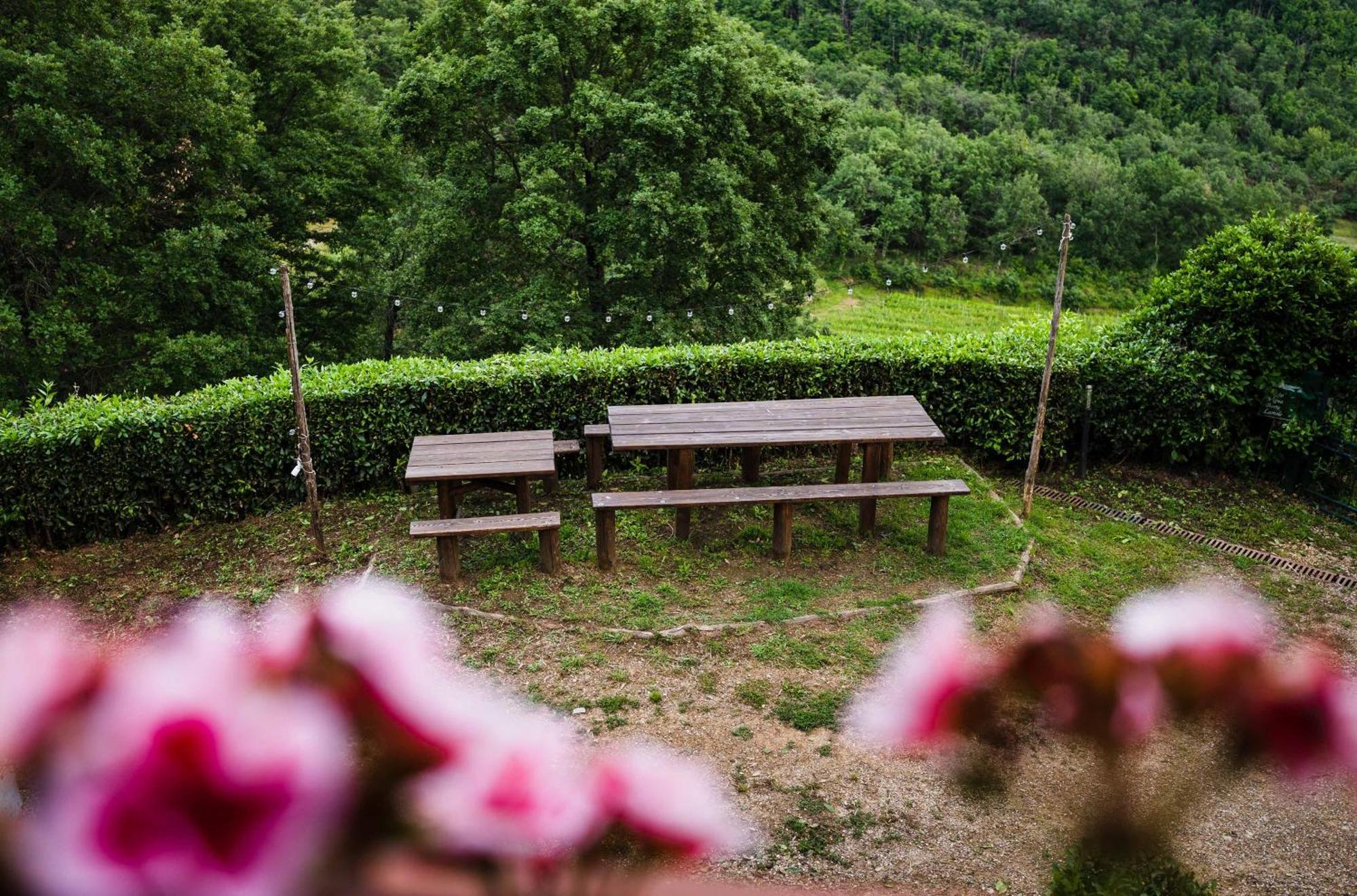 Maison d'hôtes Rifugium à Greve in Chianti Extérieur photo