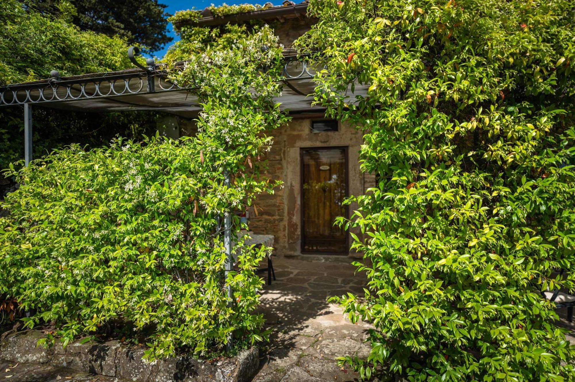 Maison d'hôtes Rifugium à Greve in Chianti Extérieur photo
